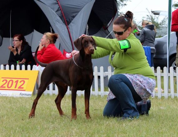 03.06.2012 - CACIB Leszno - intermediate class - Exc.1, CWC